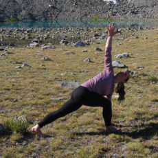 Simple lunge and twist