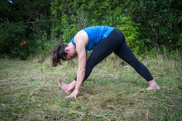 a person in a lunge with hips up and legs straight