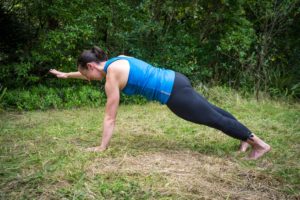 plank with arm lift