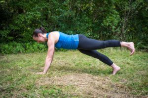 plank with leg lift
