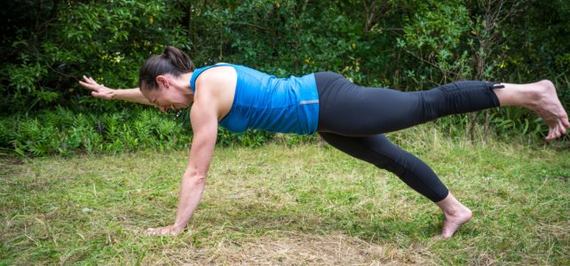 plank with one arm and leg lift