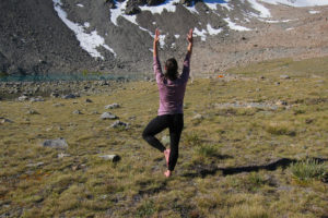 tree pose - Vrksasana 