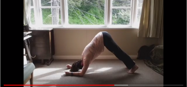 screenshot sun salutation alternatives