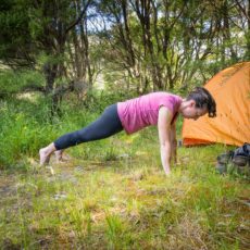 The small things in plank pose