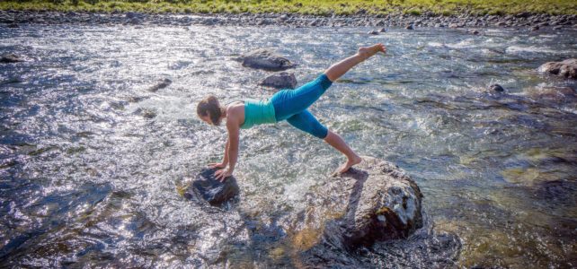 plank pose with one leg lifted