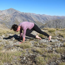 Variations in down dog for upper body strength