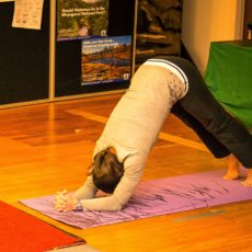 Shoulder strength through dolpin pose (modified down dog)