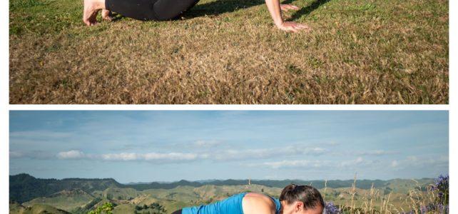 plank with knees up or down