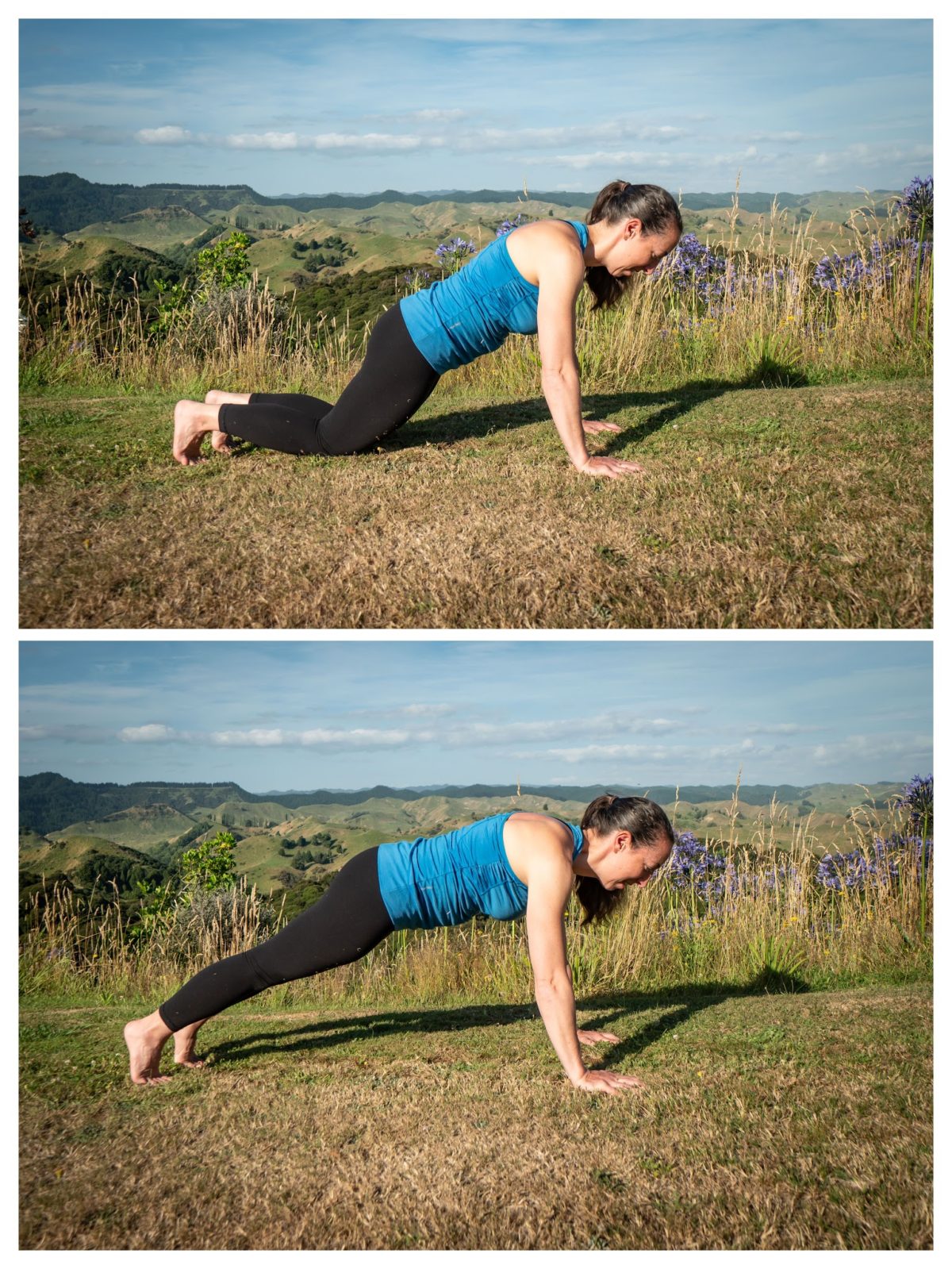 plank with knees up or down