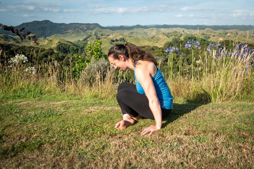 tolasana or scale yoga pose