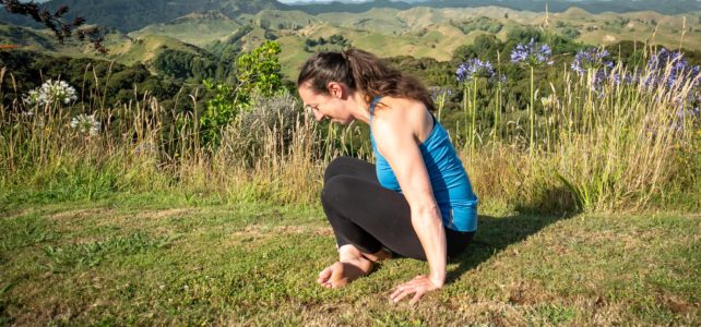 tolasana or scale yoga pose