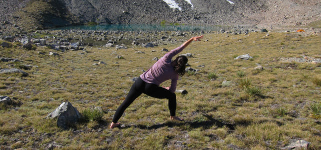 extended side angle pose (parsvakonasana)