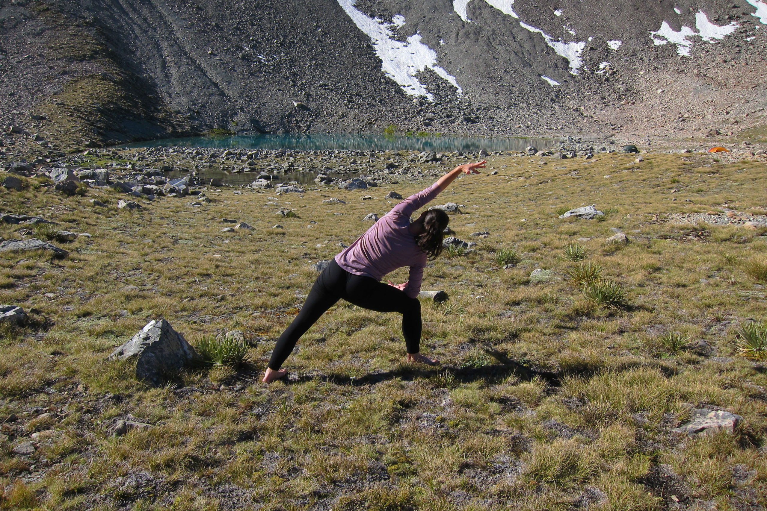 extended side angle pose (parsvakonasana)