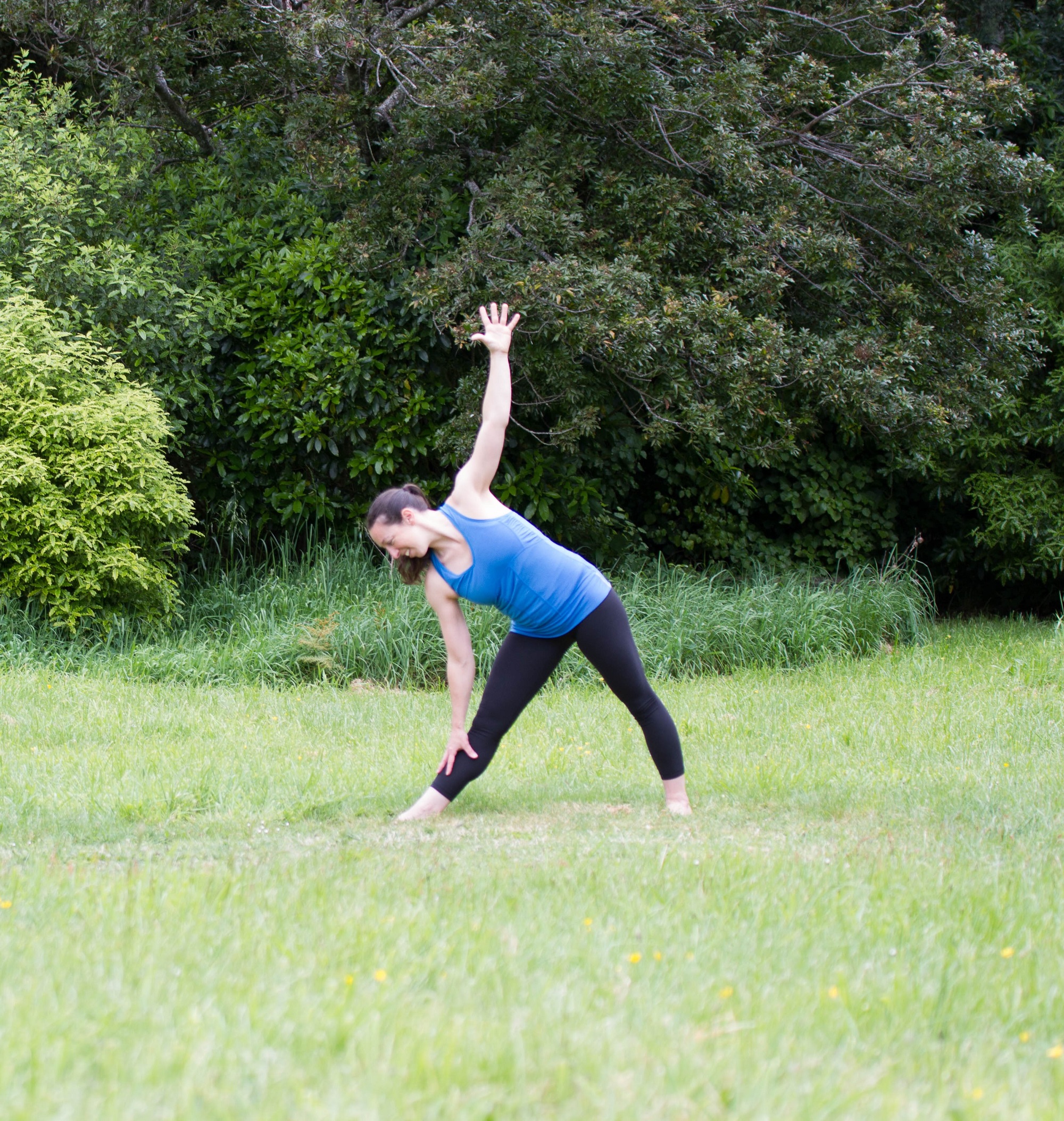 triangle pose (trikonasana)