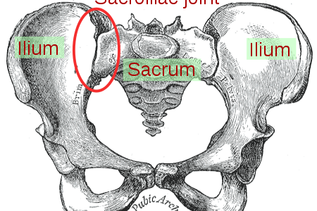 Sacroiliac joint