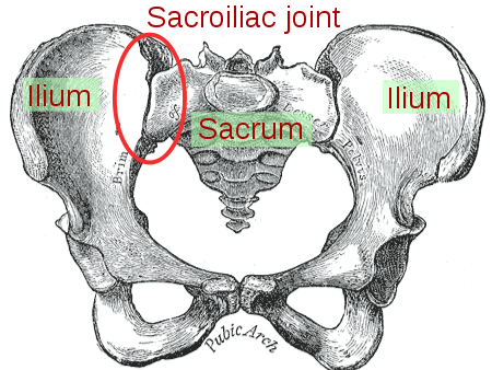 Sacroiliac joint