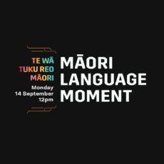 Yoga in Te Reo Māori