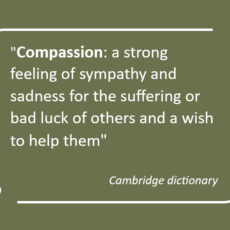 Why we need compassion and how to do it